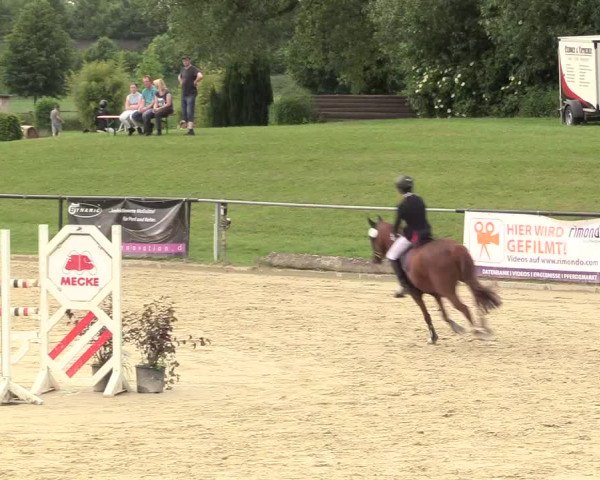 Reitturnier Hamm-Rhynern 2017