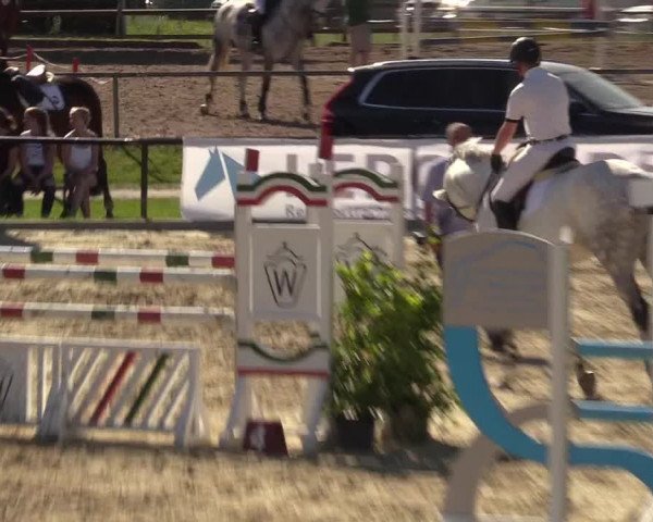 Reitturnier Hamm-Rhynern 2017