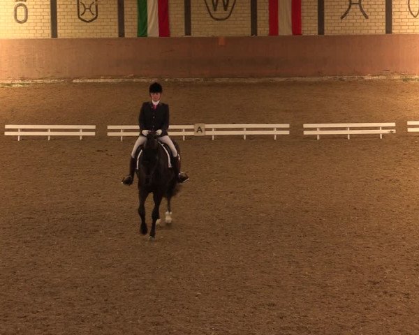 Reitturnier Hamm-Rhynern 2017