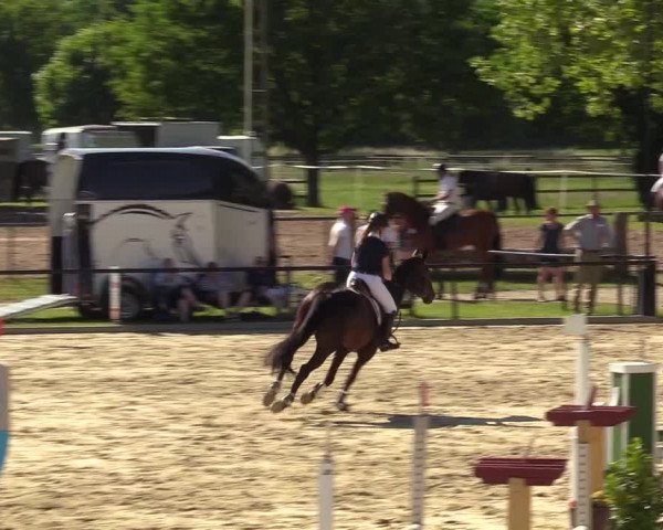 Reitturnier Hamm-Rhynern 2017