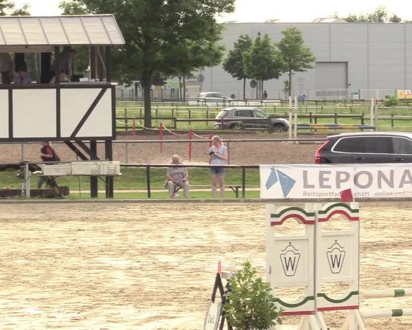 Reitturnier Hamm-Rhynern 2017