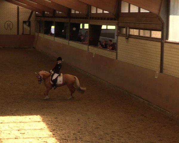 Reitturnier Hamm-Rhynern 2017