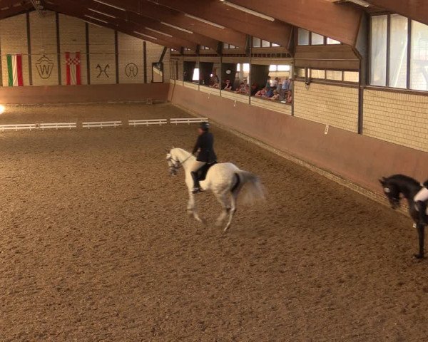 Reitturnier Hamm-Rhynern 2017
