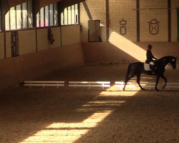 Reitturnier Hamm-Rhynern 2017