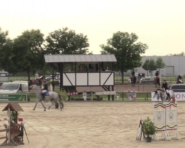 Reitturnier Hamm-Rhynern 2017