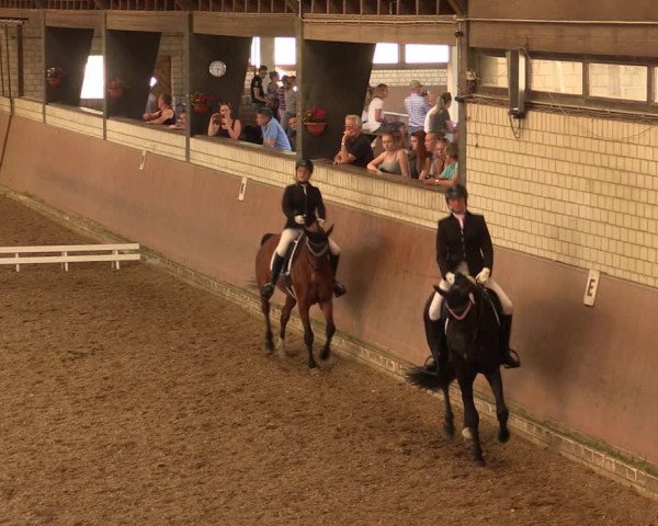 Reitturnier Hamm-Rhynern 2017