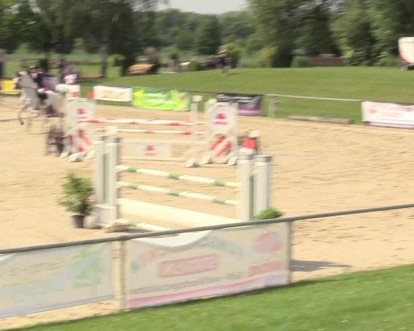 Reitturnier Hamm-Rhynern 2017