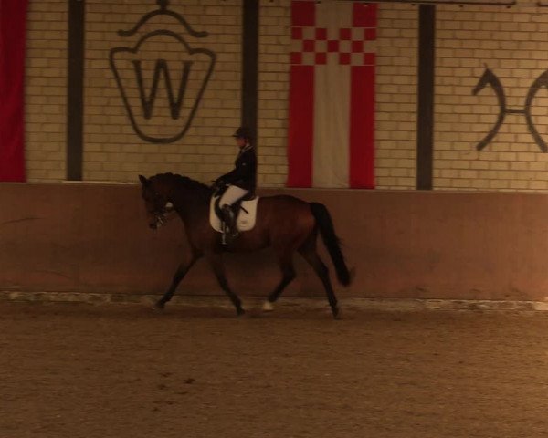 Reitturnier Hamm-Rhynern 2017