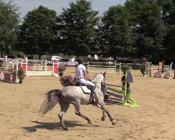 Reitturnier Iserlohn-Kalthof 2017