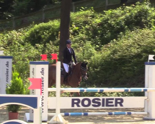 Reitturnier Iserlohn-Kalthof 2017
