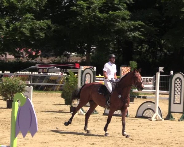 Reitturnier Iserlohn-Kalthof 2017