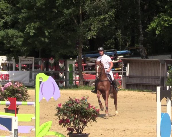 Reitturnier Iserlohn-Kalthof 2017
