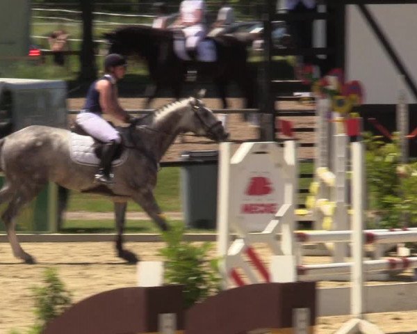Reitturnier Hamm-Rhynern 2017