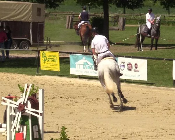 Reitturnier Hamm-Rhynern 2017