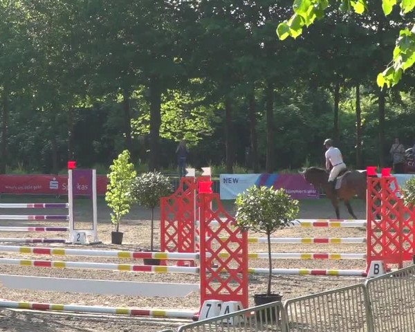 Reitturnier Mönchengladbach-Wickrath 2017