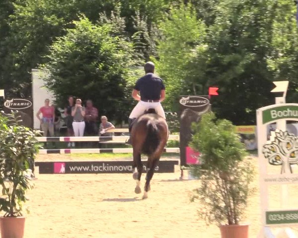 Reitturnier Bochum-Nord 2017