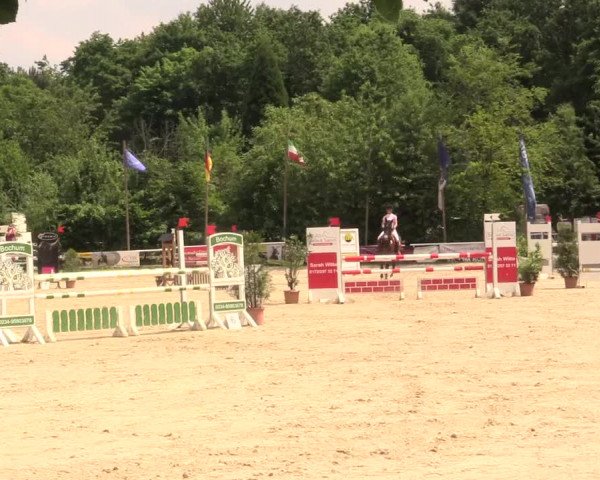 Reitturnier Bochum-Nord 2017