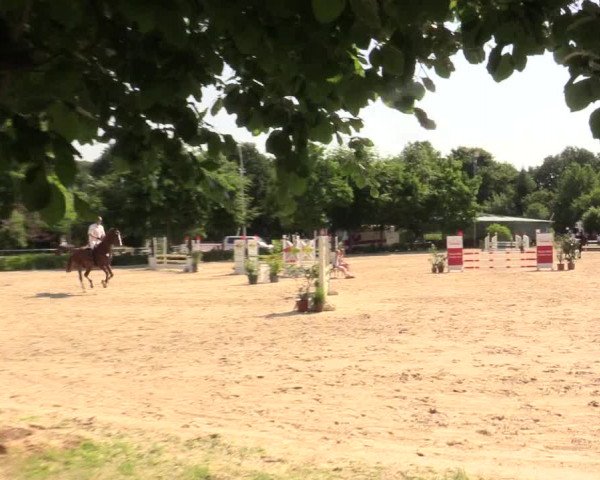 Reitturnier Bochum-Nord 2017