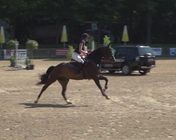 Reitturnier Mönchengladbach-Wickrath 2017
