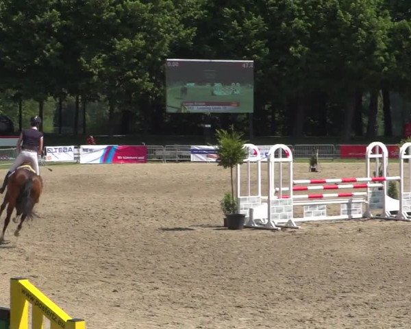Reitturnier Mönchengladbach-Wickrath 2017