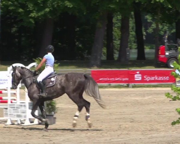Reitturnier Mönchengladbach-Wickrath 2017