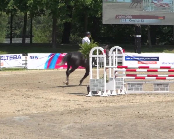 Reitturnier Mönchengladbach-Wickrath 2017