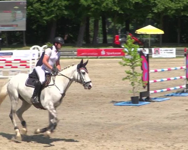 Reitturnier Mönchengladbach-Wickrath 2017