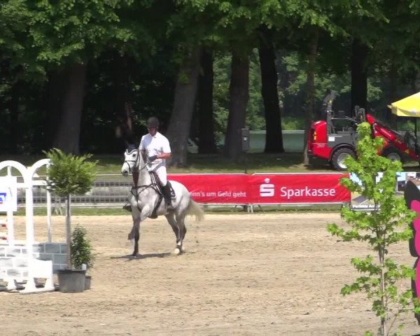 Reitturnier Mönchengladbach-Wickrath 2017