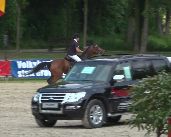 Reitturnier Mönchengladbach-Wickrath 2017