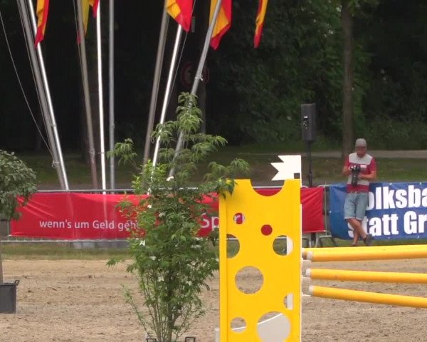 Reitturnier Mönchengladbach-Wickrath 2017