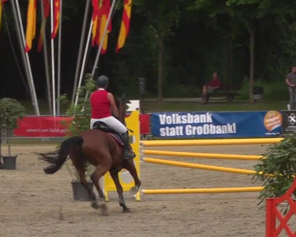 Reitturnier Mönchengladbach-Wickrath 2017