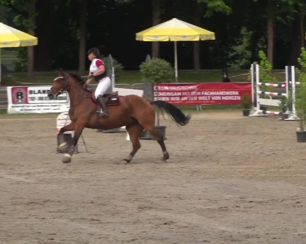 Reitturnier Mönchengladbach-Wickrath 2017