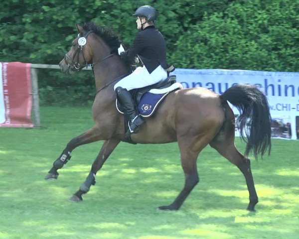 Reitturnier Jettingen 2017