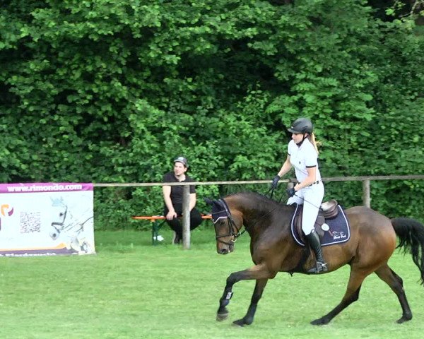Reitturnier Jettingen 2017