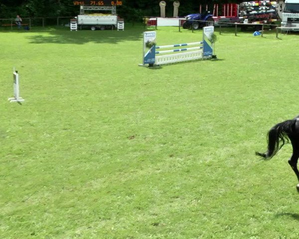 Reitturnier Jettingen 2017