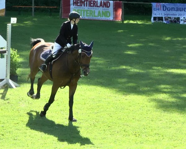 Reitturnier Jettingen 2017