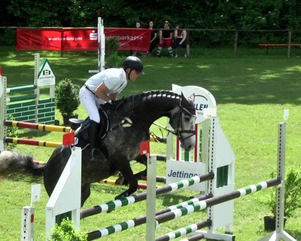 Reitturnier Jettingen 2017