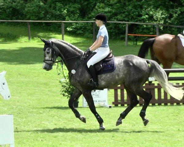Reitturnier Jettingen 2017