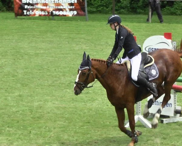 Reitturnier Jettingen 2017