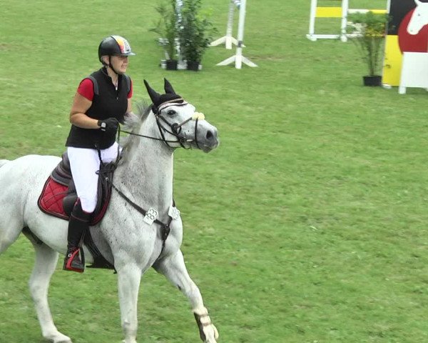 Reitturnier Jettingen 2017