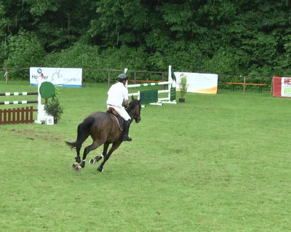 Reitturnier Jettingen 2017