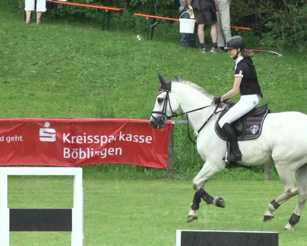 Reitturnier Jettingen 2017