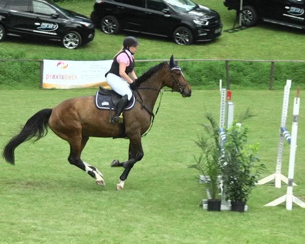 Reitturnier Jettingen 2017