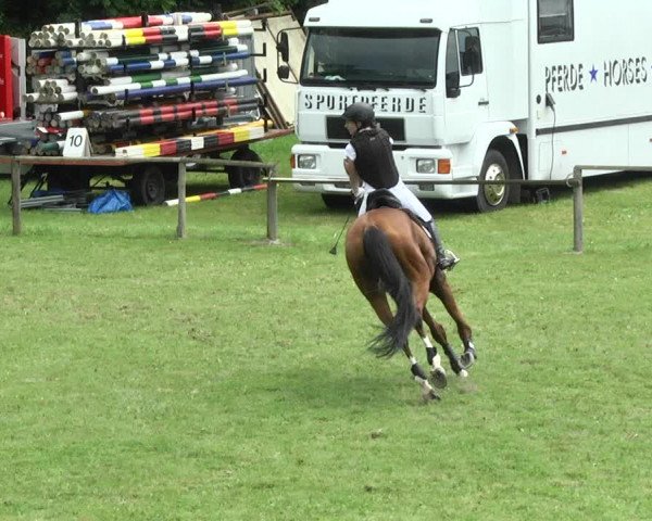Reitturnier Jettingen 2017