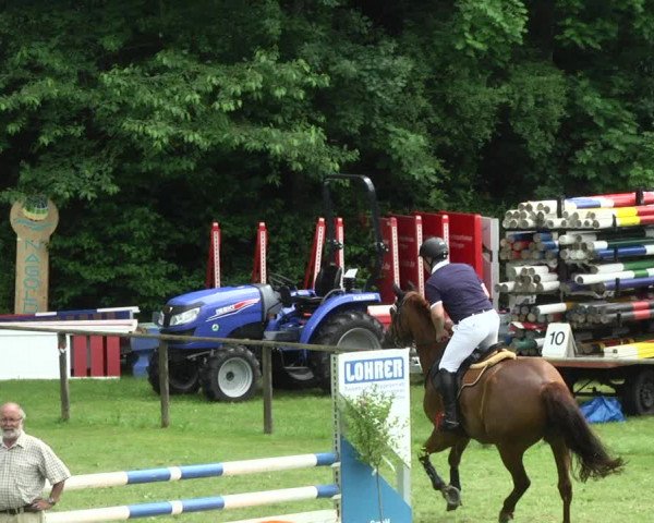 Reitturnier Jettingen 2017