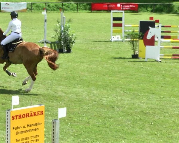 Reitturnier Jettingen 2017
