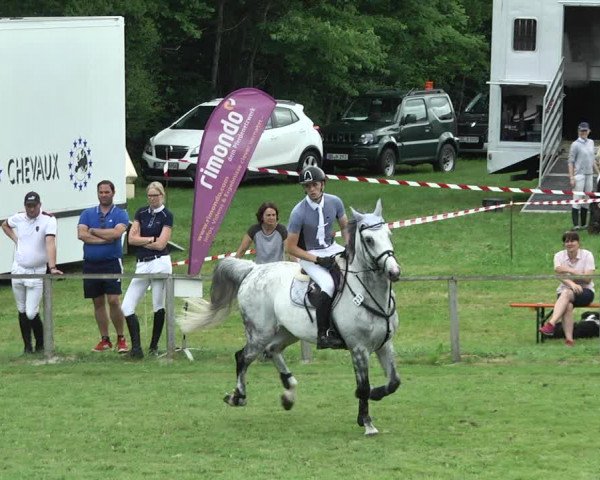 Reitturnier Jettingen 2017
