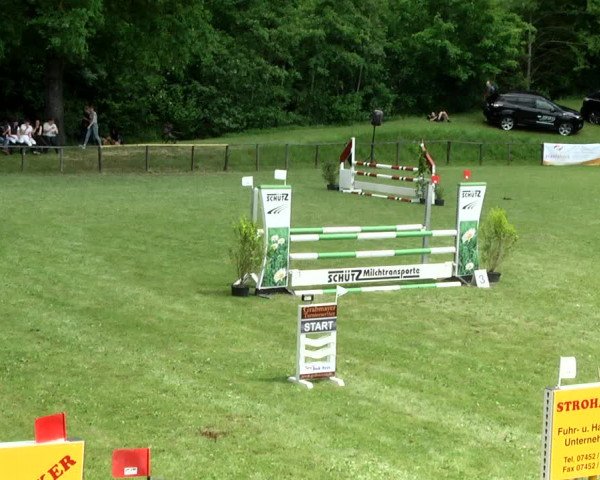 Reitturnier Jettingen 2017