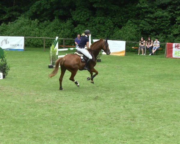 Reitturnier Jettingen 2017
