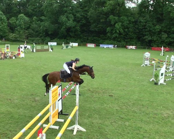 Reitturnier Jettingen 2017